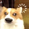 Hklko-【TITAIKE】T太科网