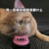 dddrt-【TITAIKE】T太科网