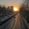 zsw644212333-