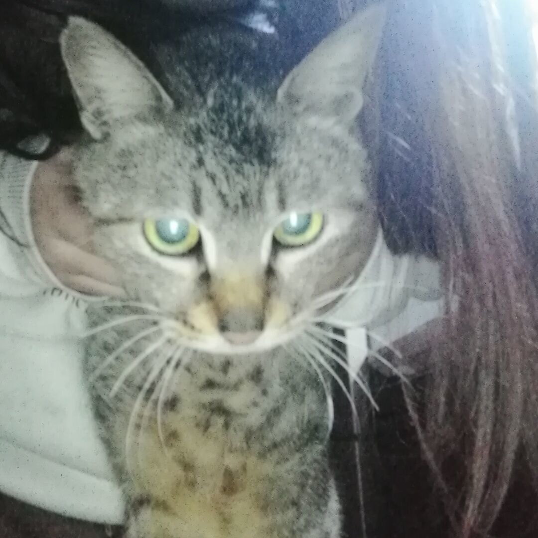 qq_喵89