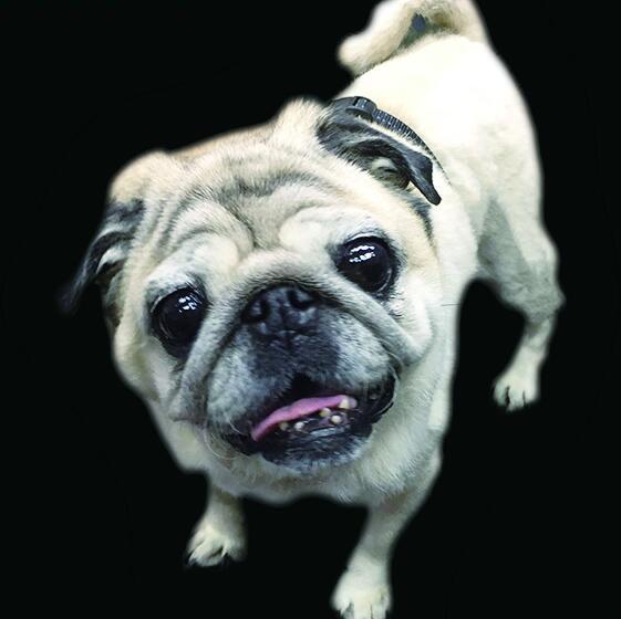 拉钩为什么要上吊！！