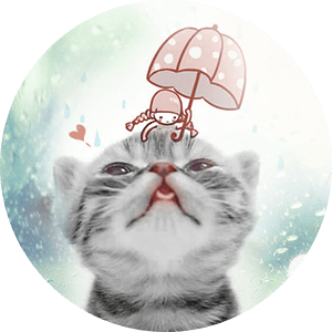 qq_孤星泪.大虎52