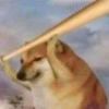 思考过了-【TITAIKE】T太科网