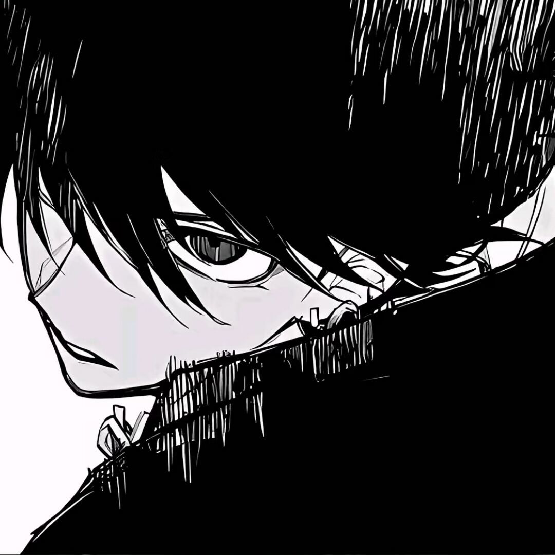 qq_ㅤ55