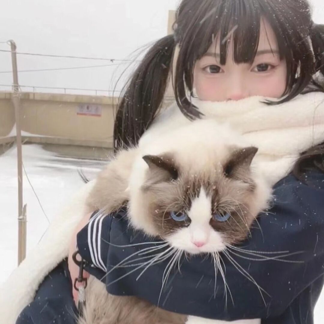 qq_衍一81