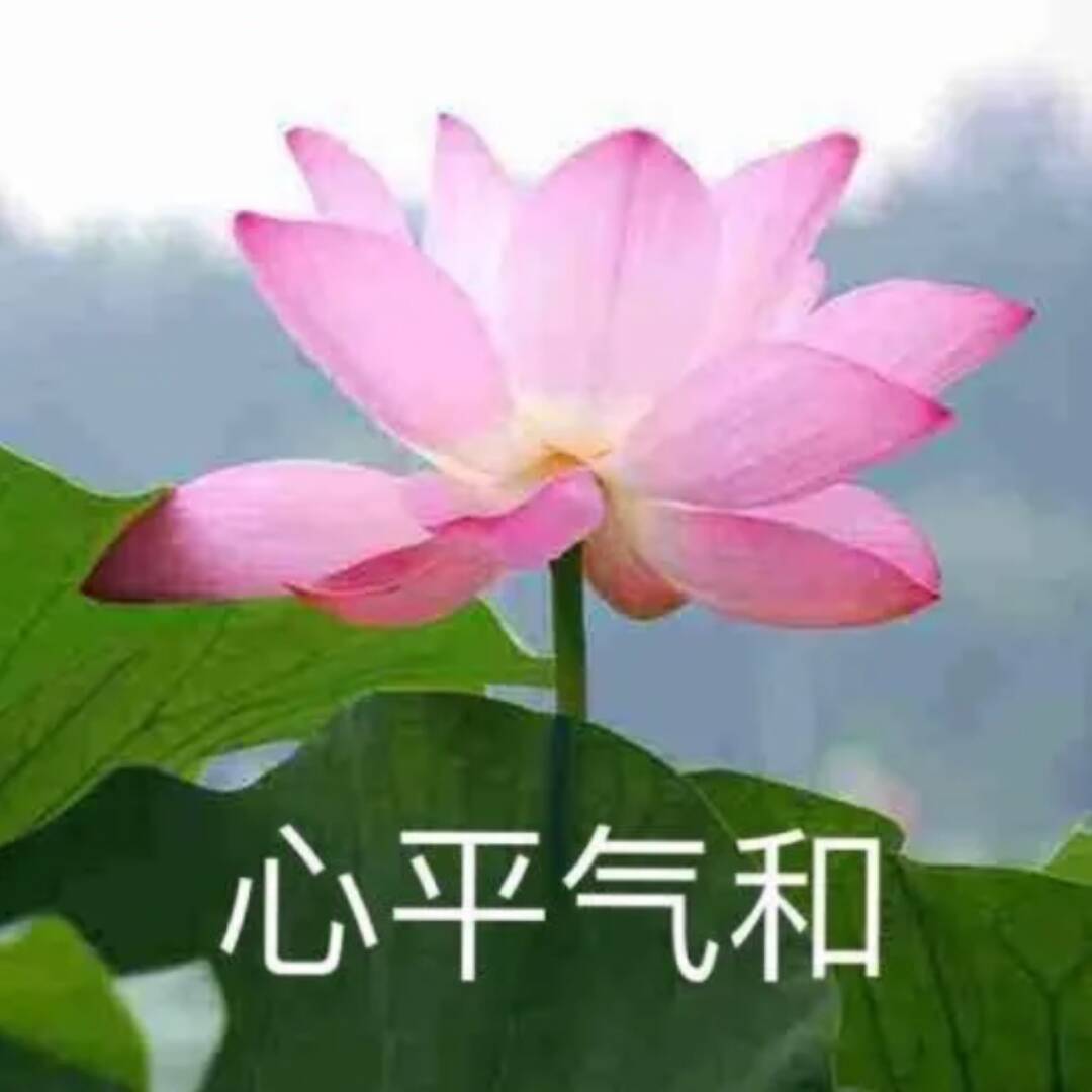 qq_花开富贵87