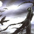 qq_修炼半生，现在我只想躺着62