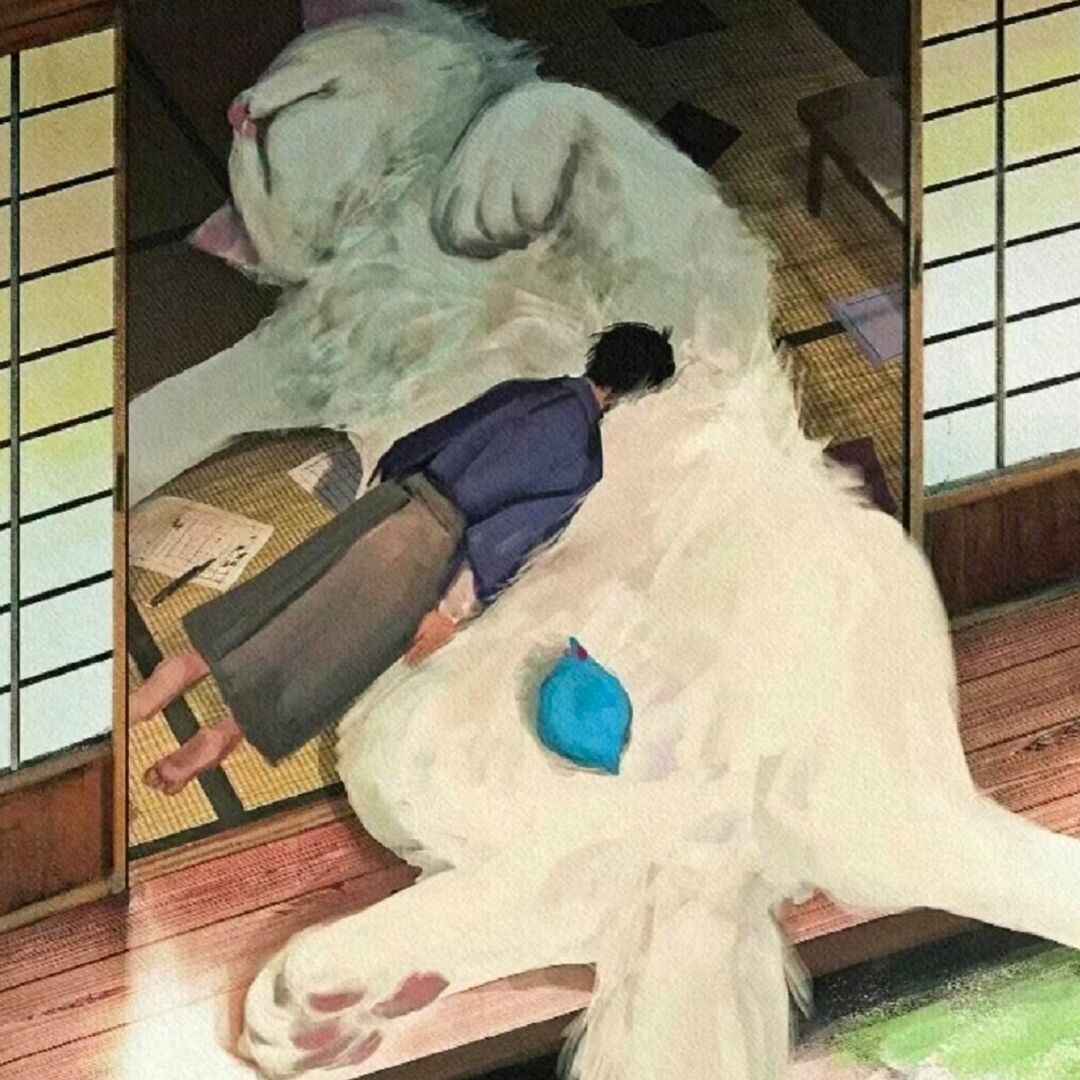 qq_椿沧78
