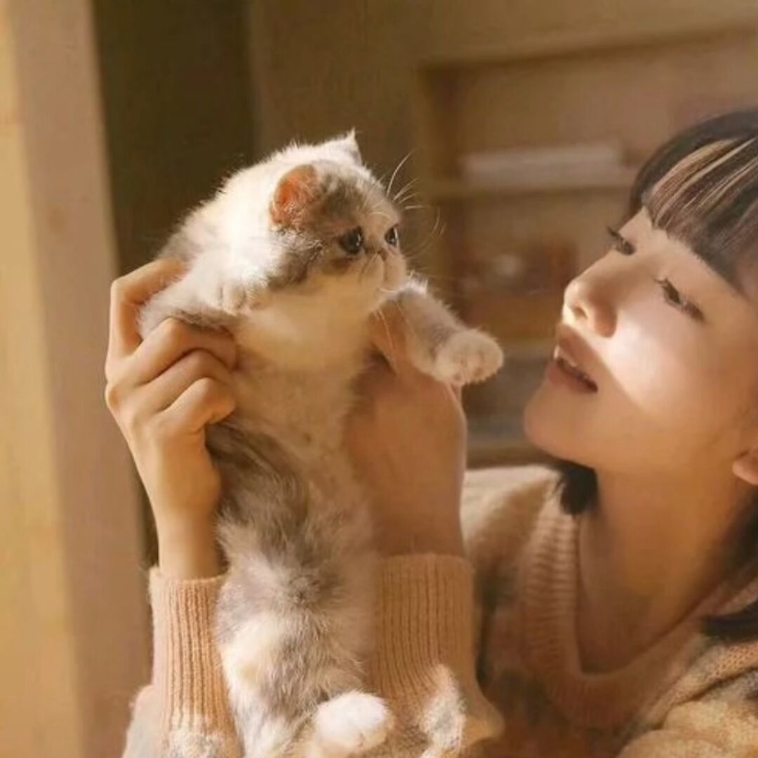 qq_陌…风…85