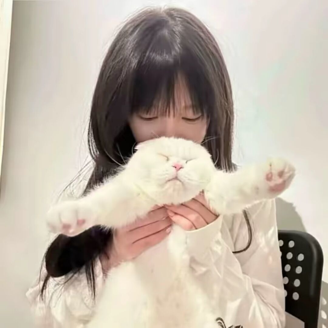 qq_怡少布药桑学.19