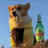 珏凌宇佀-【TITAIKE】T太科网