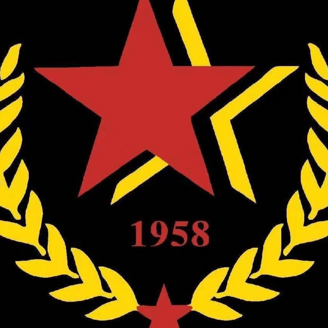 职业规划+升学指导