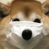 awwwjka-【TITAIKE】T太科网