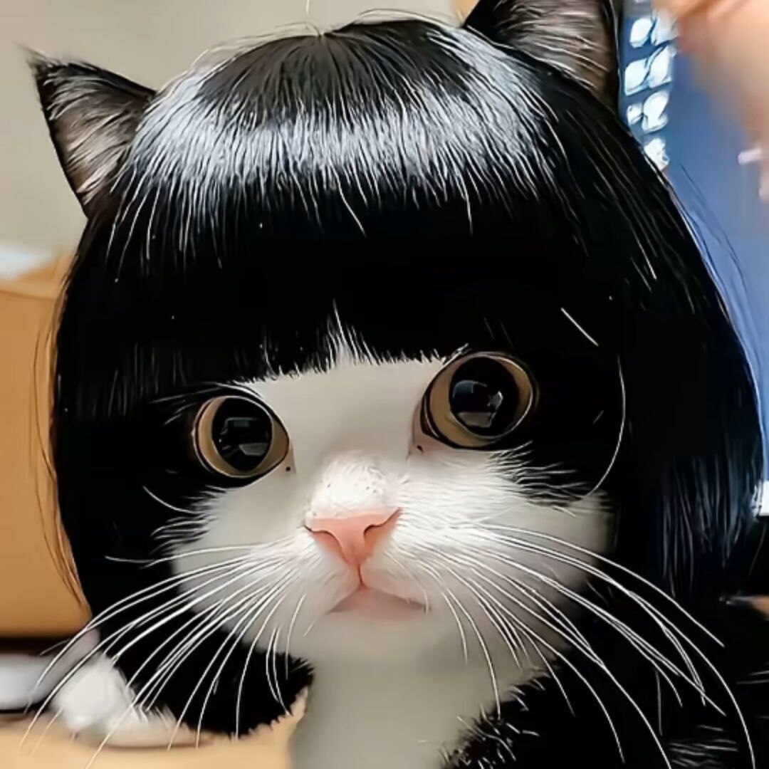 qq_醋溜小白菜73