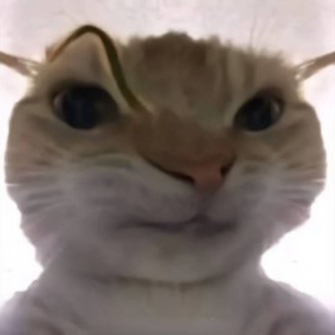 qq_匿名.95