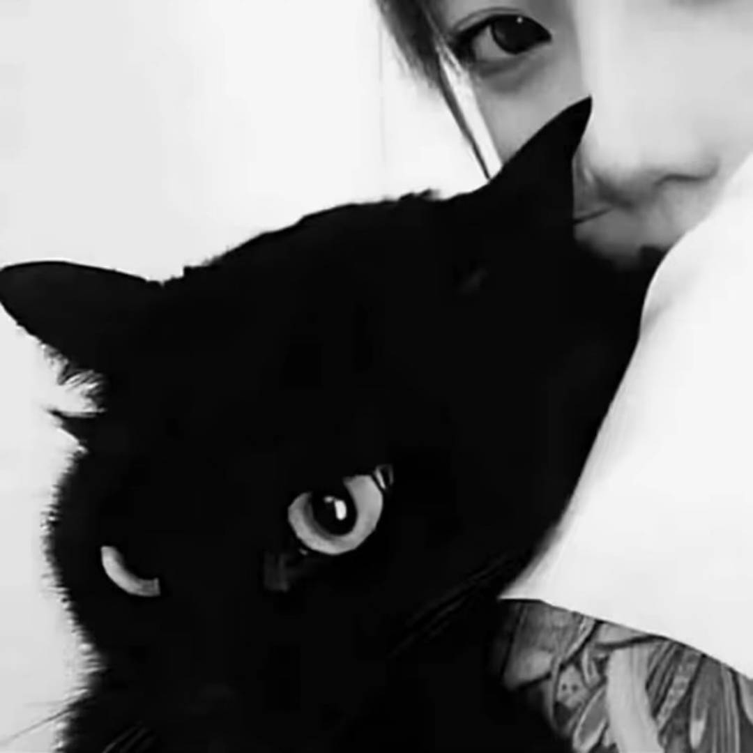 qq_。68