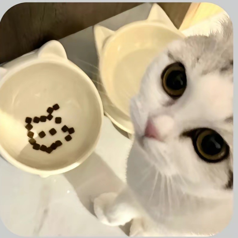qq_^46