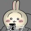 瑞不白-【TITAIKE】T太科网