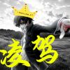 gdyvdg-【TITAIKE】T太科网