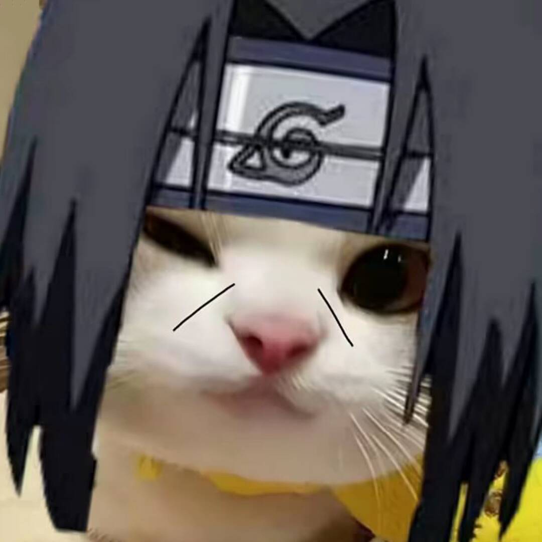 qq_影83