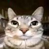 qwq2634-【TITAIKE】T太科网