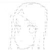 憨憨鸟鸟-【TITAIKE】T太科网