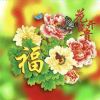 liujiaxin666-【TITAIKE】T太科网