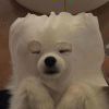 棠花未眠ω