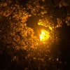 山重山重山-【TITAIKE】T太科网