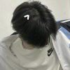 lcx23052390152-【TITAIKE】T太科网