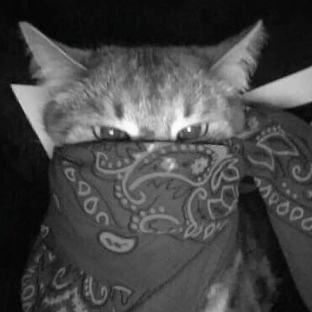 qq_®️26