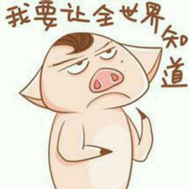 qq_zz80