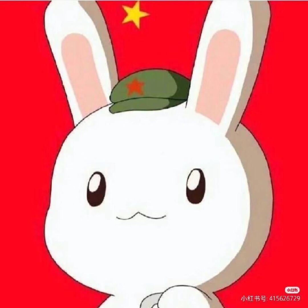 qq_善良的兔子69