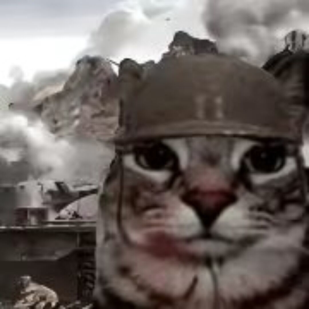 qq_.70