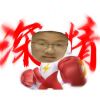 zyxgjt-【TITAIKE】T太科网