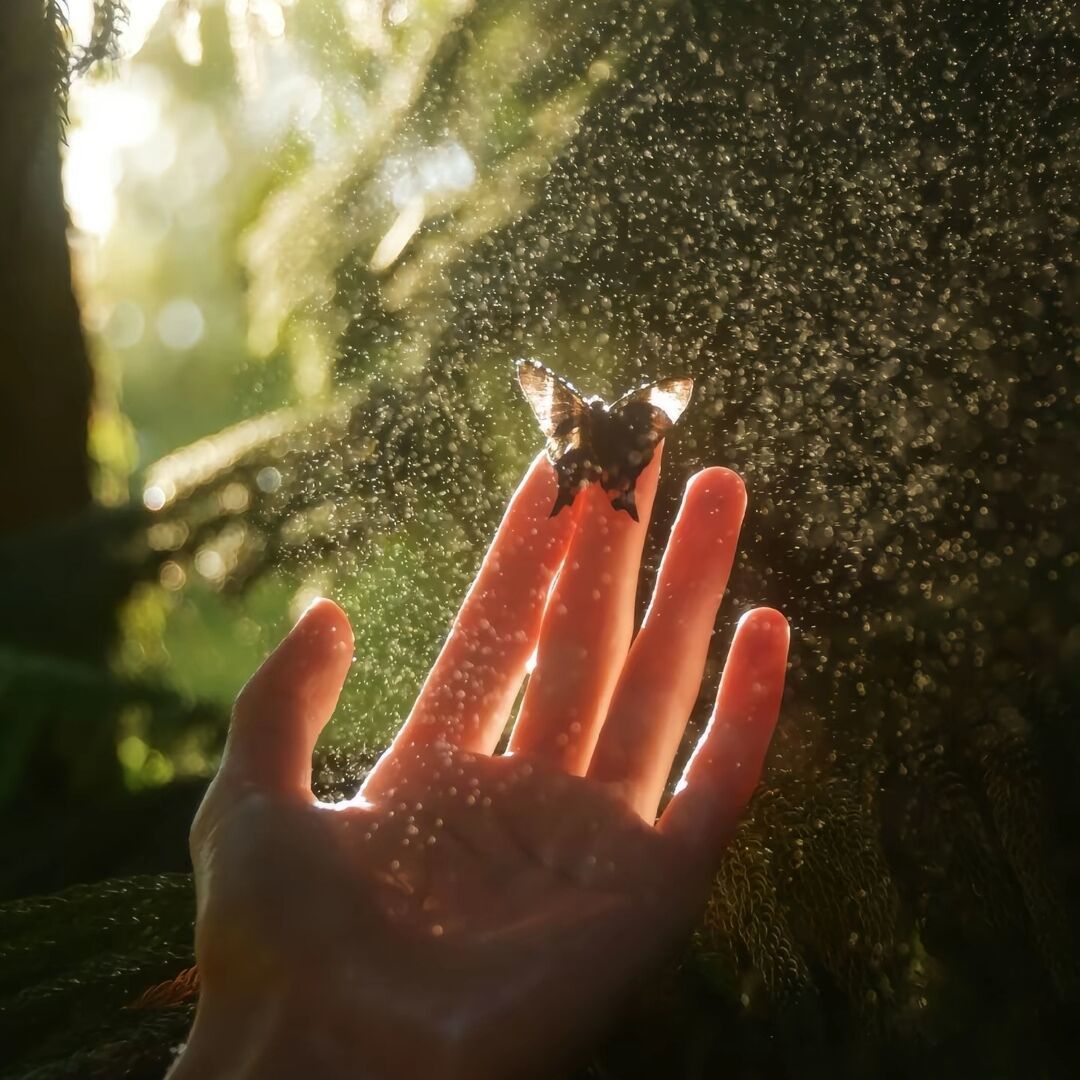 用户头像
