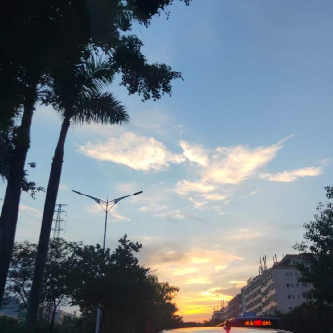 qq_゛ゞ空缺56