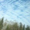 用户77825247-创信博客
