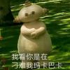 貔犰-极客酷