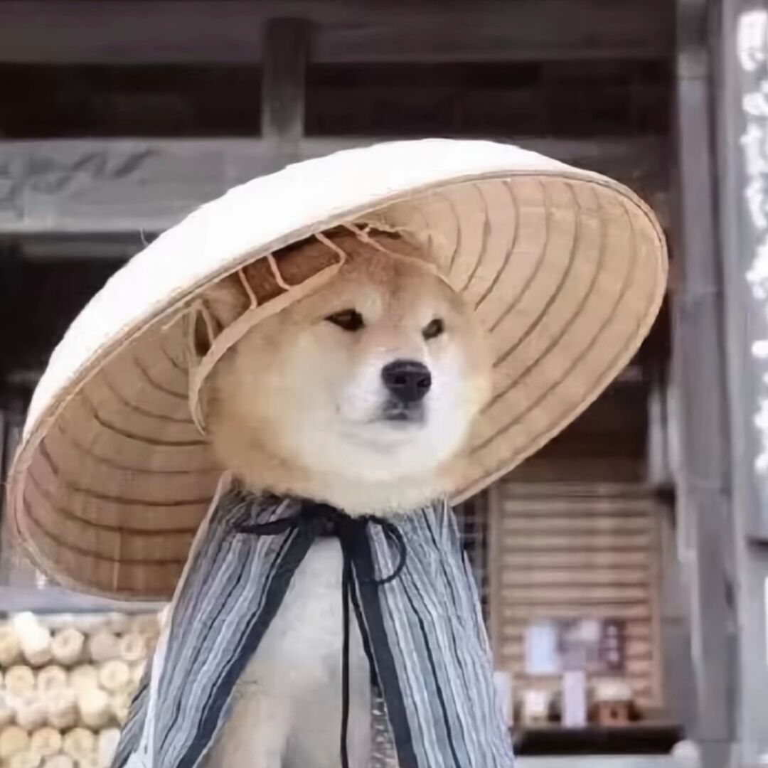 qq_两袖清风67