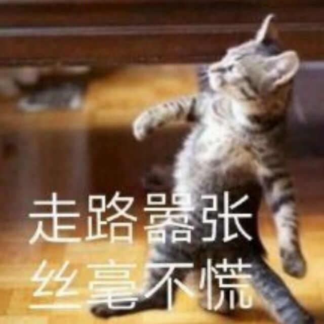 qq_cruel74