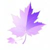 Purp1eleaF-【TITAIKE】T太科网