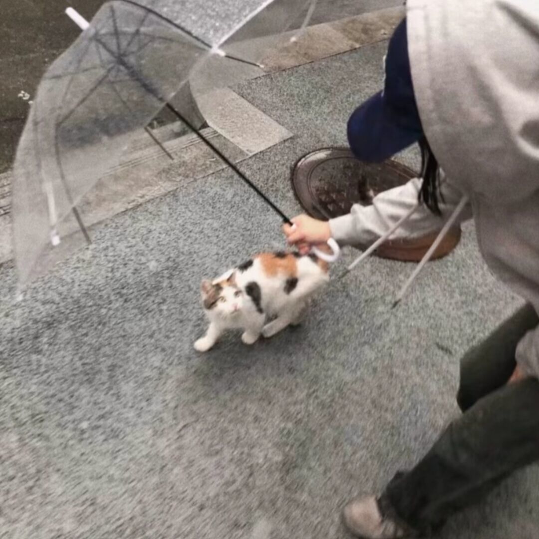 qq_-降  临.84