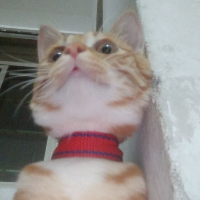 qq_奋斗尒ふ74