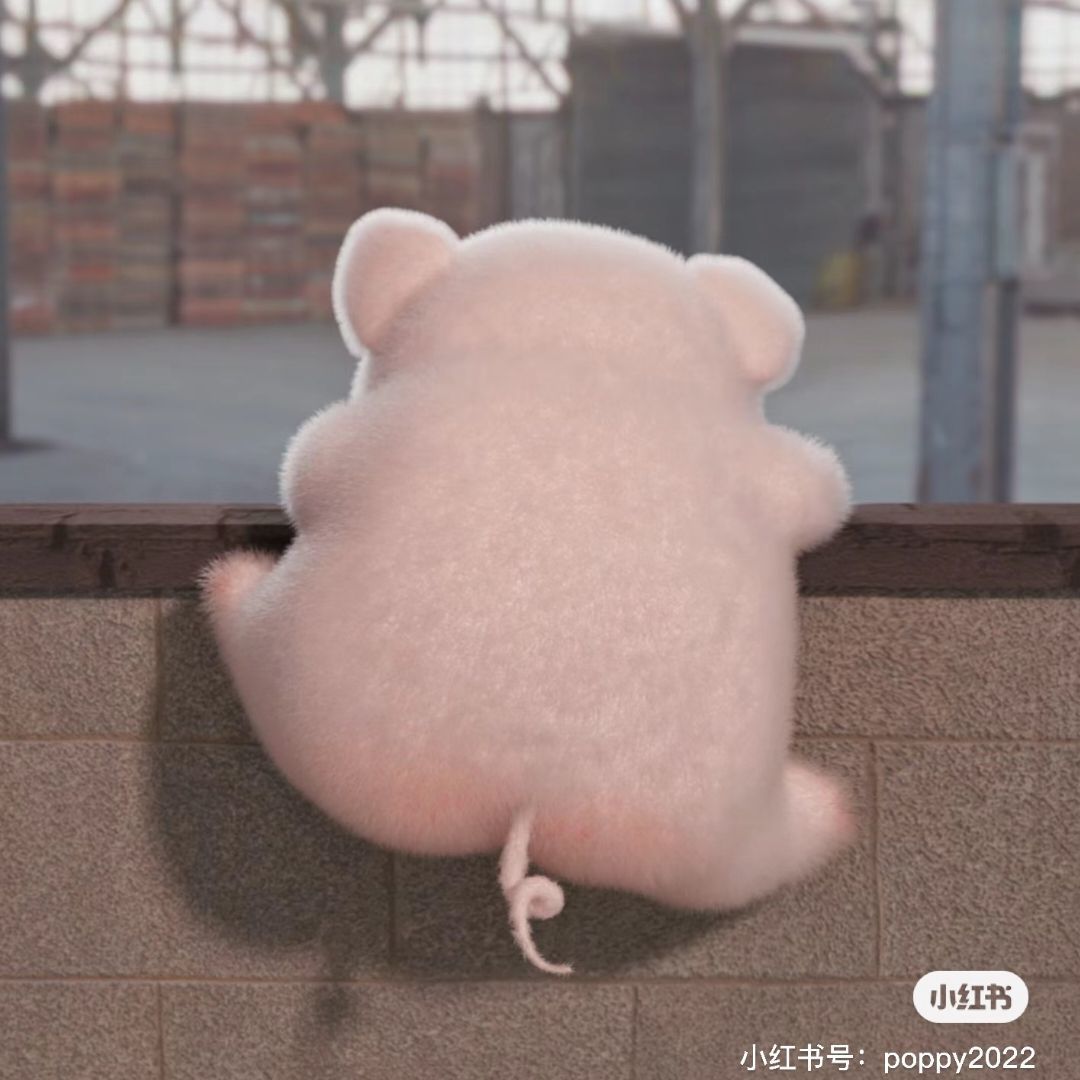 qq_琎安74