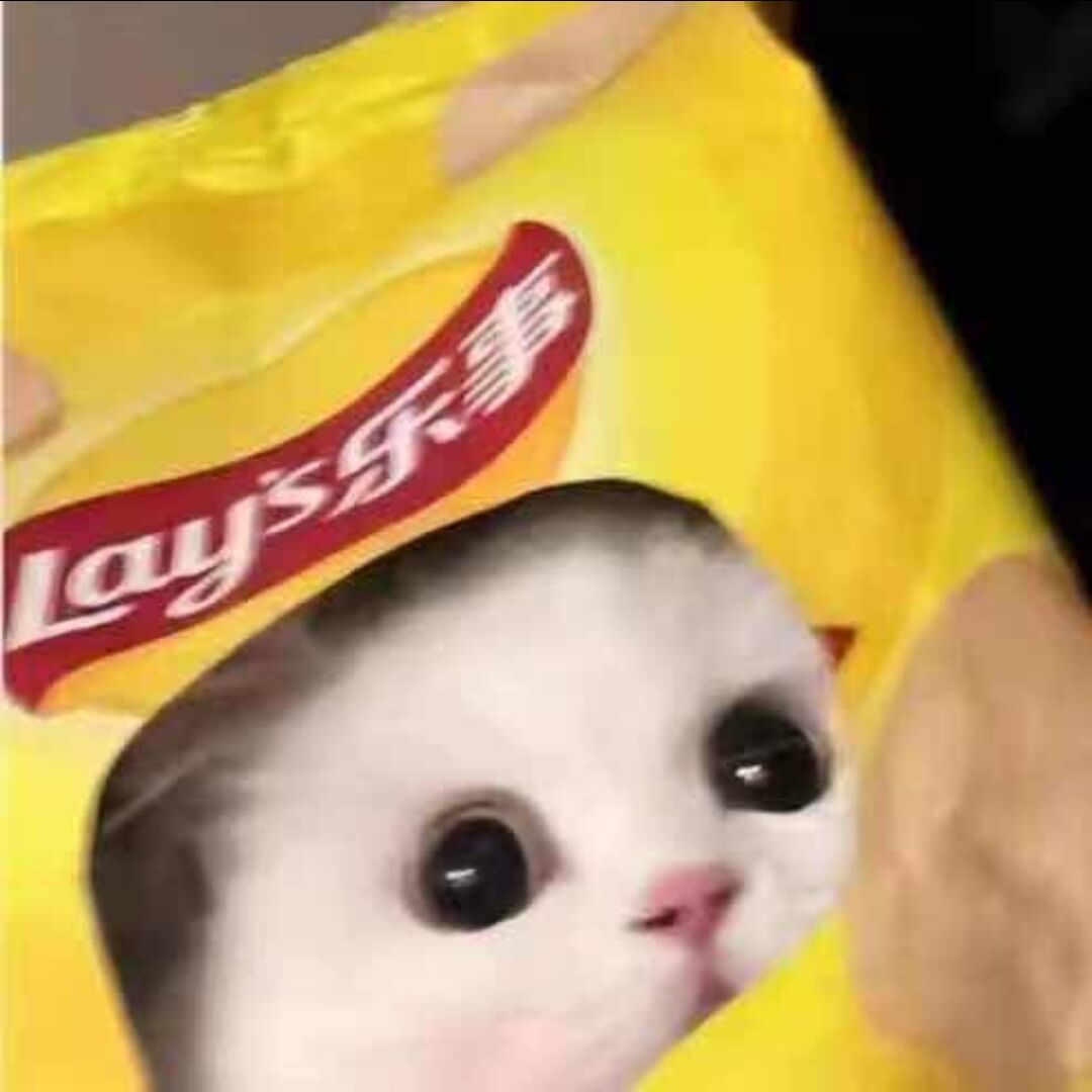 qq_PY.43