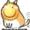 母猪的产后护理-【TITAIKE】T太科网