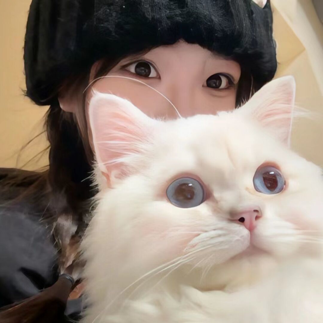 用户头像