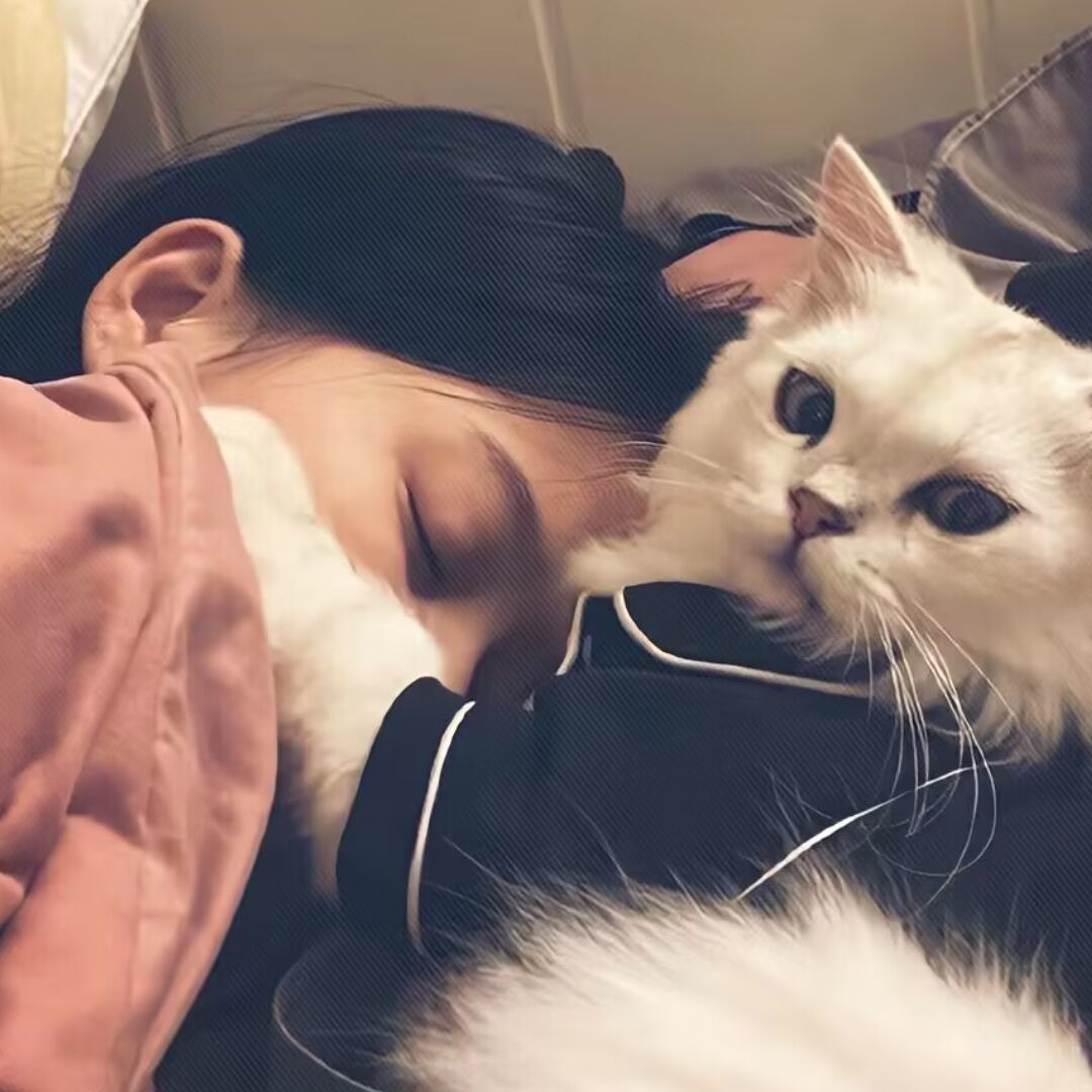 用户头像