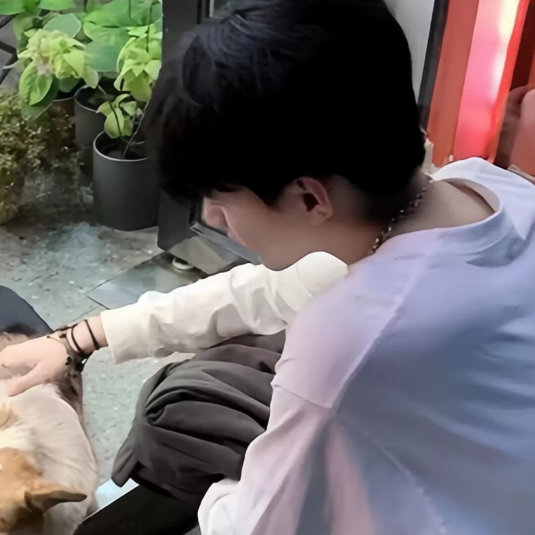 qq_言.恸.52